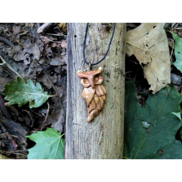 Mądrość Lasu / Wisdom of the Forest